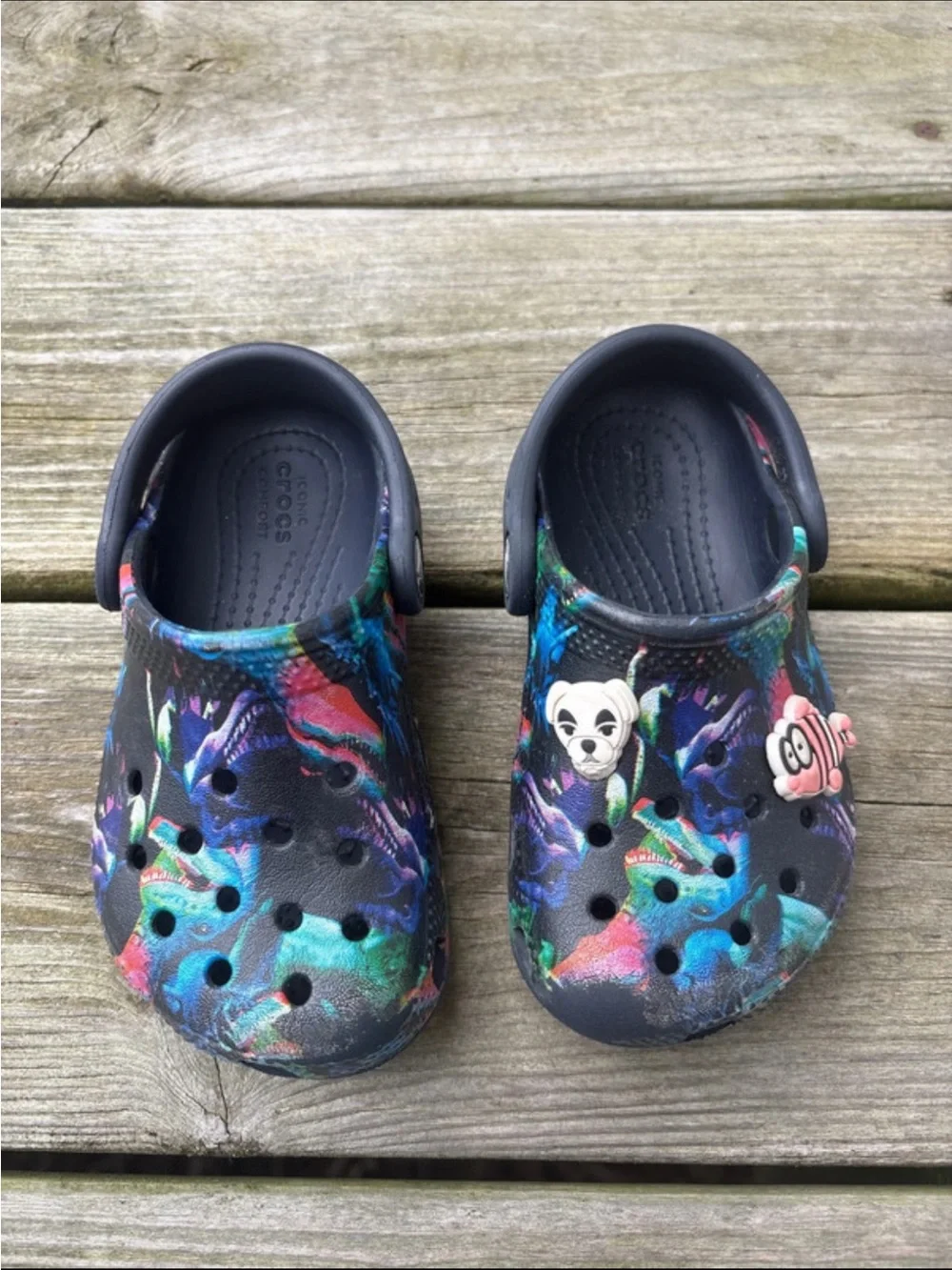 Dinosaur CROCS 8c